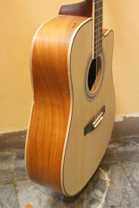 Dreadnought - Laminated Spruce Top, Jackfruit Back and Sides