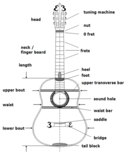 Why the Guitar's Shape? - Ferangeli Guitar Handcrafter