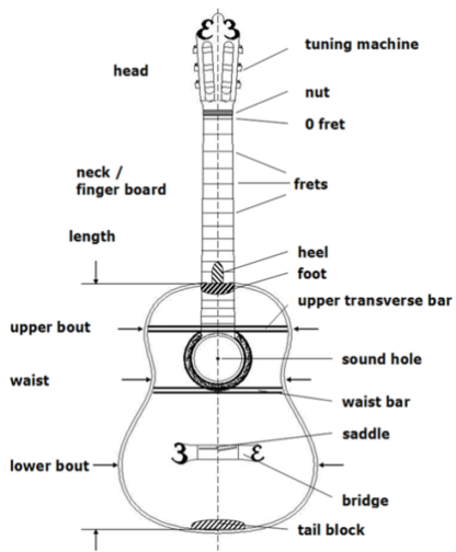 Why the Guitar's Shape? – Ferangeli Guitar Handcrafter