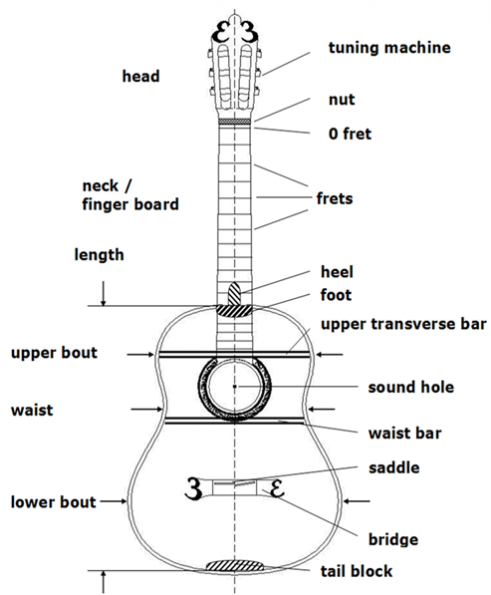 Anatomy of a Guitar