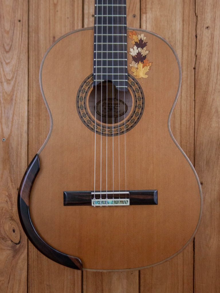 Classical Guitar Model